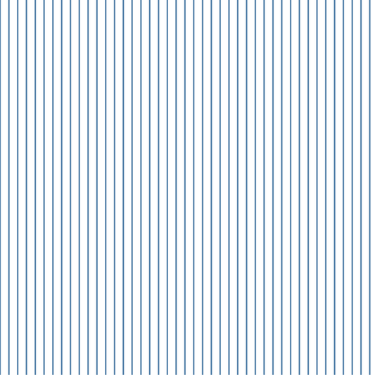Blue Striped Envelope Liner